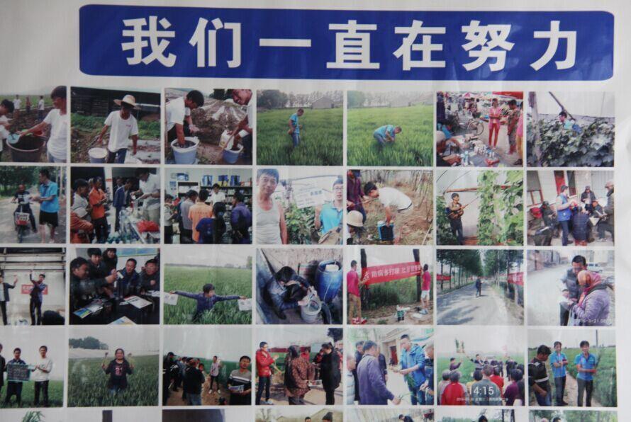 sunbet申搏国内制剂2016年度第一次总结暨市场启动会议隆重召开