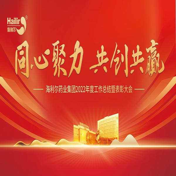 同心聚力 共创共赢——sunbet申搏2022年度工作总结暨表彰大会隆重召开